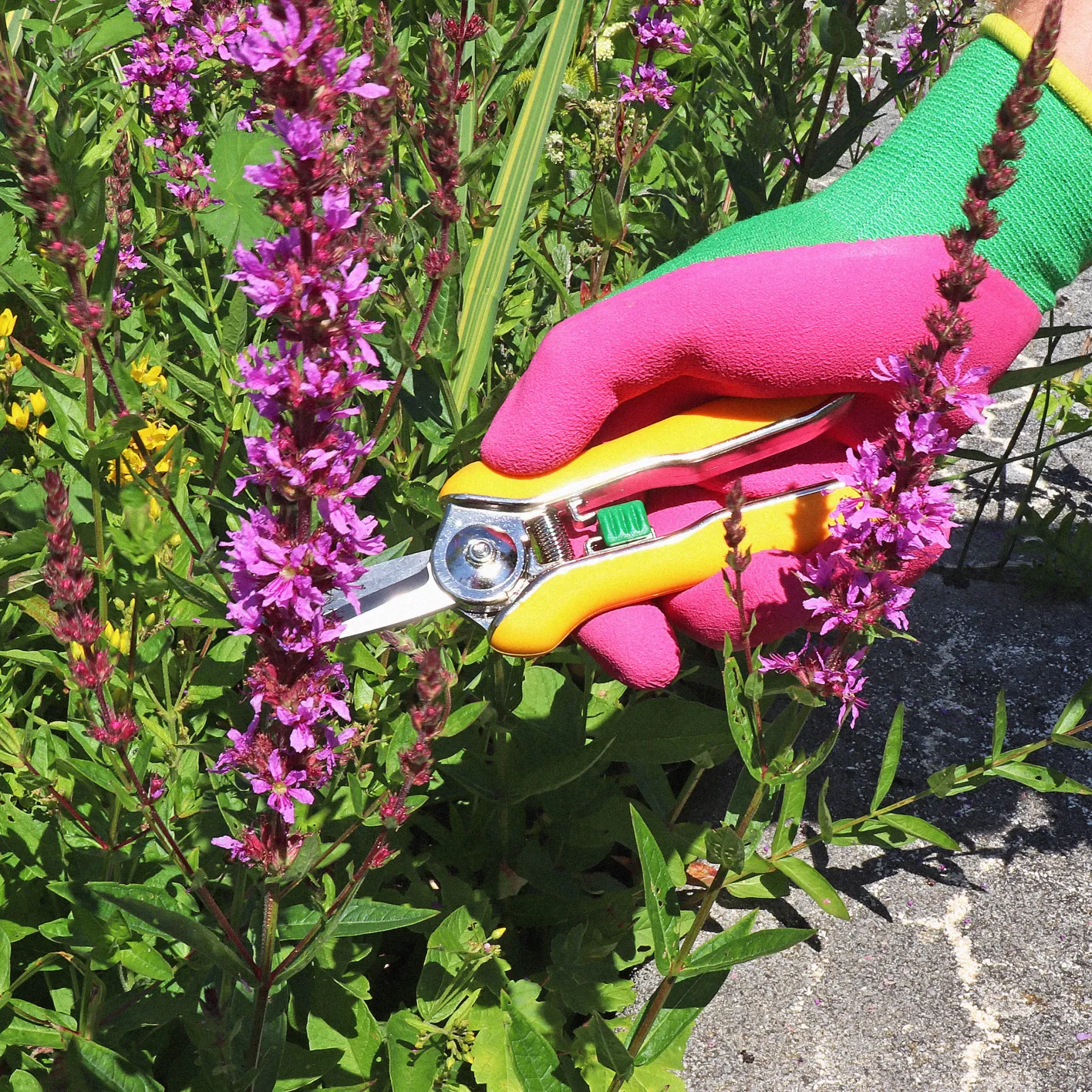 SH310 - Guanti Flessibili E Robusti SHOWA GLOVES | Industrial - Foto 4